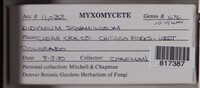 Image Associated With the Occurence